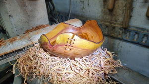 Handmade Plum Wood Bowl with Live Edge and Copper Wire