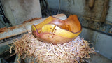 Handmade Plum Wood Bowl with Live Edge and Copper Wire