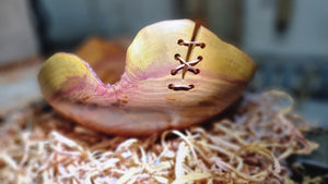 Handmade Plum Wood Bowl with Live Edge and Copper Wire