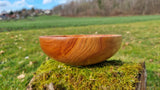 Natural Wooden Serving Bowl | Handcrafted Plum Wood Bowl | PipejaWood