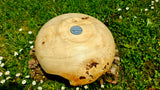 Handmade bowl with natural edge from linden burl