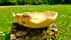 Handmade bowl with natural edge from linden burl