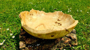 Handmade bowl with natural edge from linden burl