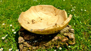 Handmade bowl with natural edge from linden burl