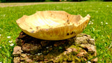 Handmade bowl with natural edge from linden burl