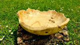 Handmade bowl with natural edge from linden burl - PipejaWood