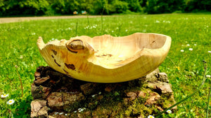 Handmade bowl with natural edge from linden burl - PipejaWood