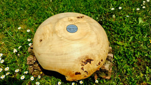 Handmade bowl with natural edge from linden burl - PipejaWood