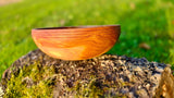 Handmade Plum Wood Bowl – 19cm x 6.5cm (7.5" x 2.6") | Natural Wooden Serving Bowl - PipejaWood