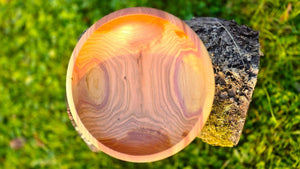 Handmade Plum Wood Bowl – 22cm x 6.5cm (8.7" x 2.6") | Natural Wooden Serving Bowl - PipejaWood