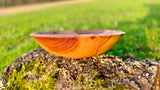 Handmade Plum Wood Bowl – 22cm x 6.5cm (8.7" x 2.6") | Natural Wooden Serving Bowl - PipejaWood