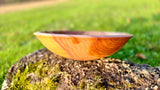 Handmade Plum Wood Bowl – 22cm x 6.5cm (8.7" x 2.6") | Natural Wooden Serving Bowl - PipejaWood