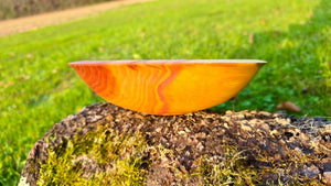 Handmade Plum Wood Bowl – 22cm x 6.5cm (8.7" x 2.6") | Natural Wooden Serving Bowl - PipejaWood