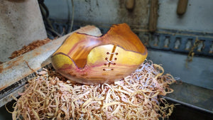 Handmade Plum Wood Bowl with Live Edge and Copper Wire - PipejaWood