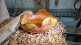 Handmade Plum Wood Bowl with Live Edge and Copper Wire - PipejaWood